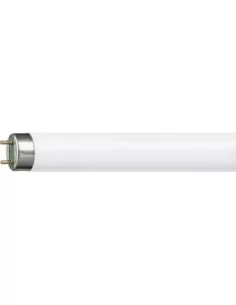 Signify Italy 3683ng linear tl-d 36w//830 heiß